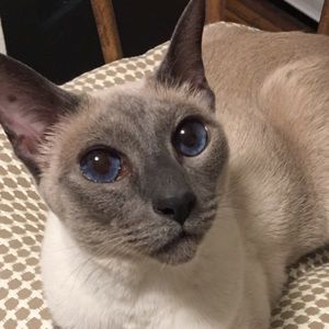 Meet your Posher, Deb